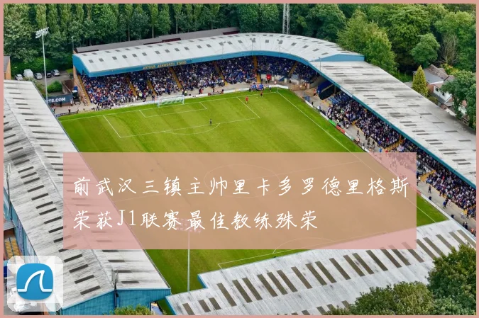 前武汉三镇主帅里卡多罗德里格斯荣获J1联赛最佳教练殊荣