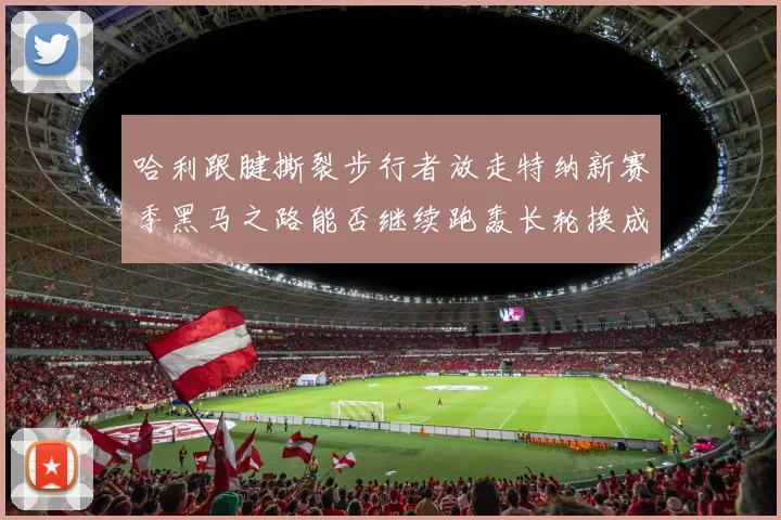 哈利跟腱撕裂步行者放走特纳新赛季黑马之路能否继续跑轰长轮换成关键