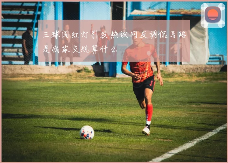 三球闯红灯引发热议网友调侃马路是我家交规算什么