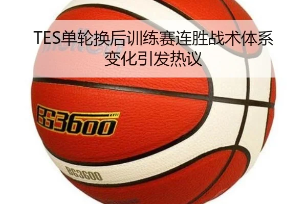 TES单轮换后训练赛连胜战术体系变化引发热议（milan）